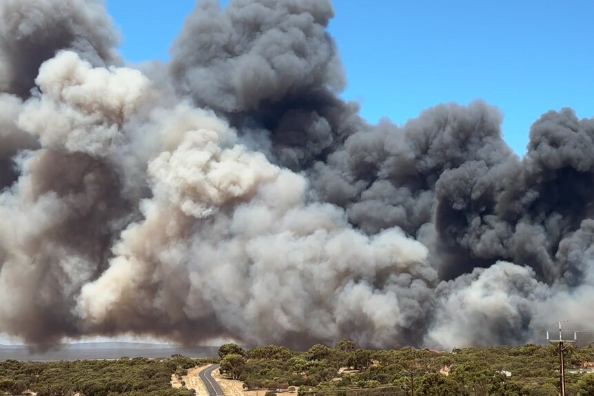 Huge clouds of smoke billow above a fire near Port Lincoln.
