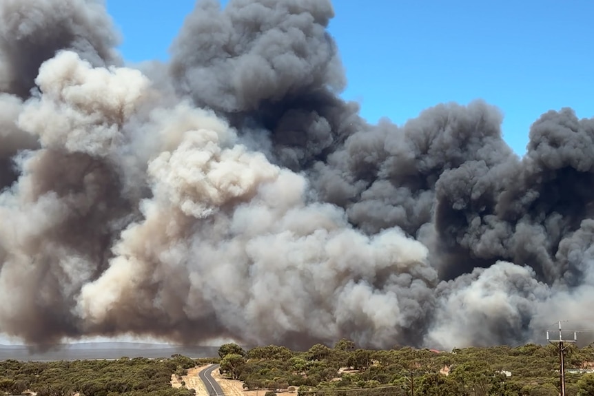 Huge clouds of smoke billow above a fire near Port Lincoln.