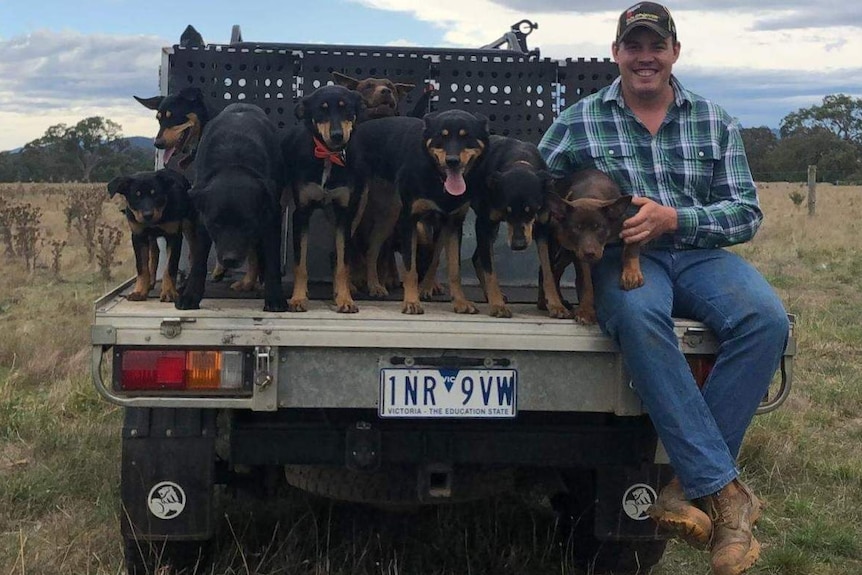 Dylan Dyer relies on his working dogs for emotional support.