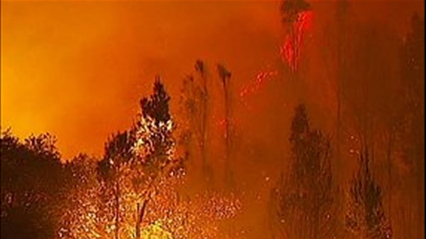 Bushfire in Tasmania