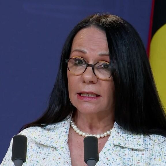 Linda Burney says Labor will be committed to the new targets