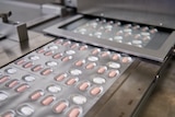 Pills are sealled into packages at a factory.