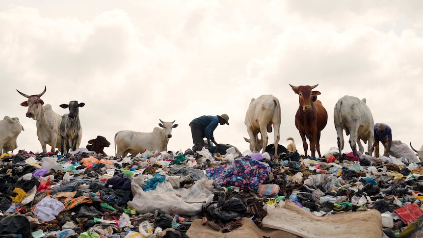 Used clothing imports to Africa strain local ecosystems, waste