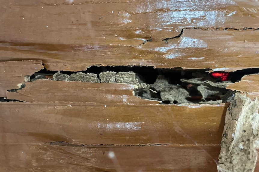 A slab of wood with large cracks in in. 