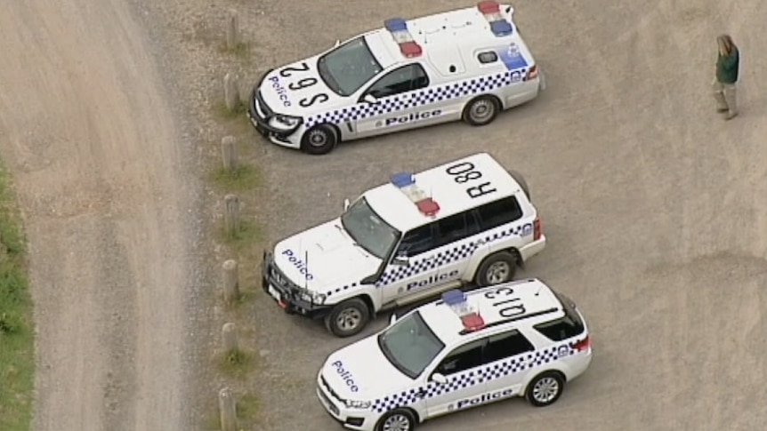 Police cars lined up near an area suspected human remains were found near Anglesea.
