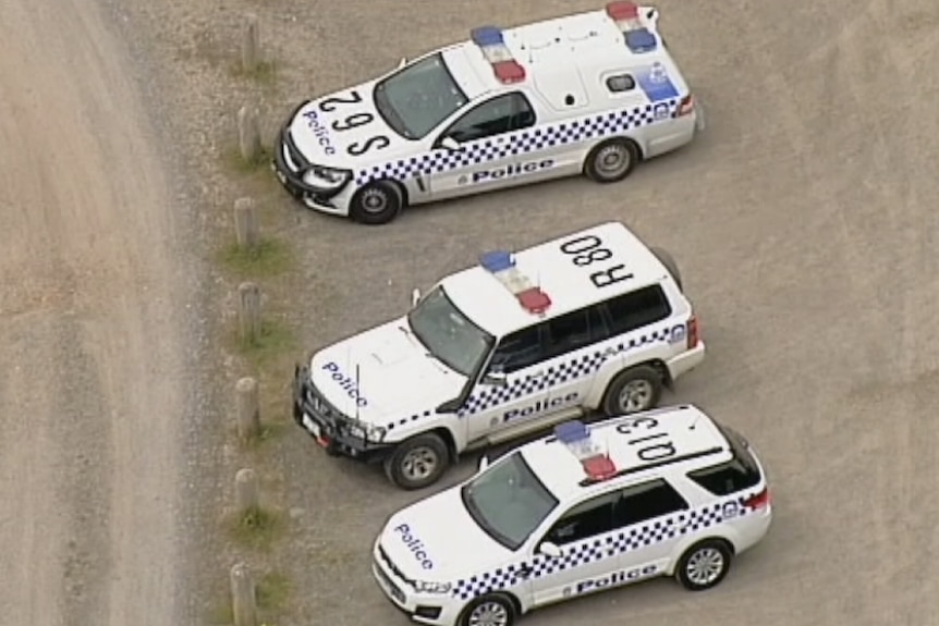 Police cars lined up near an area suspected human remains were found near Anglesea.