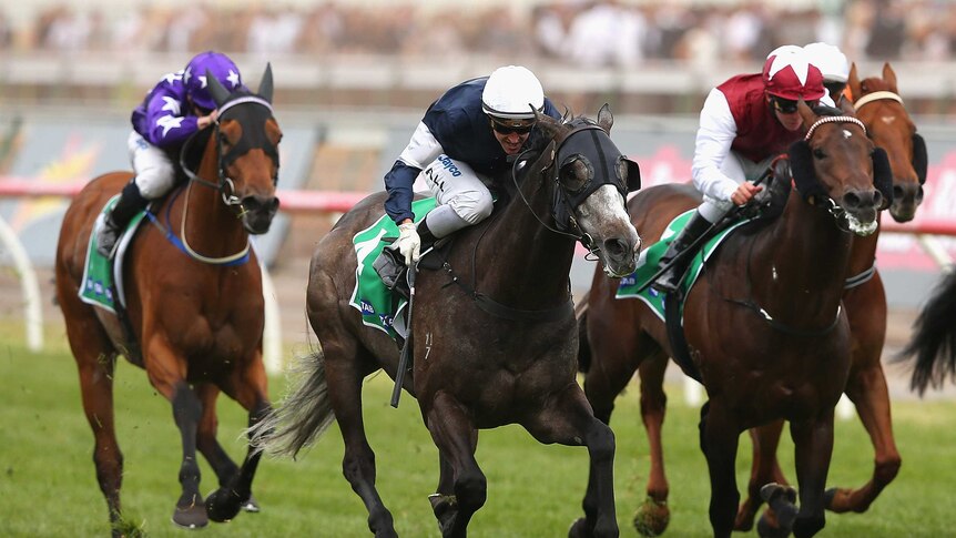 Fawkner wins at Flemington