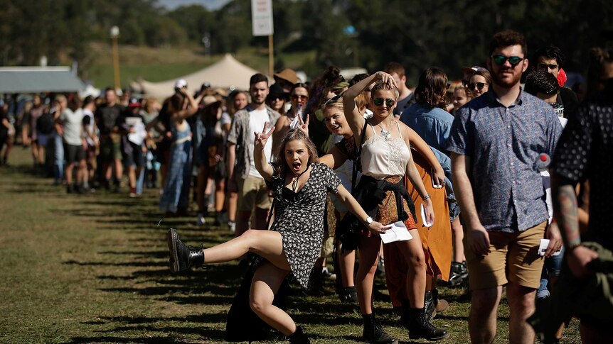 Splendour entry line