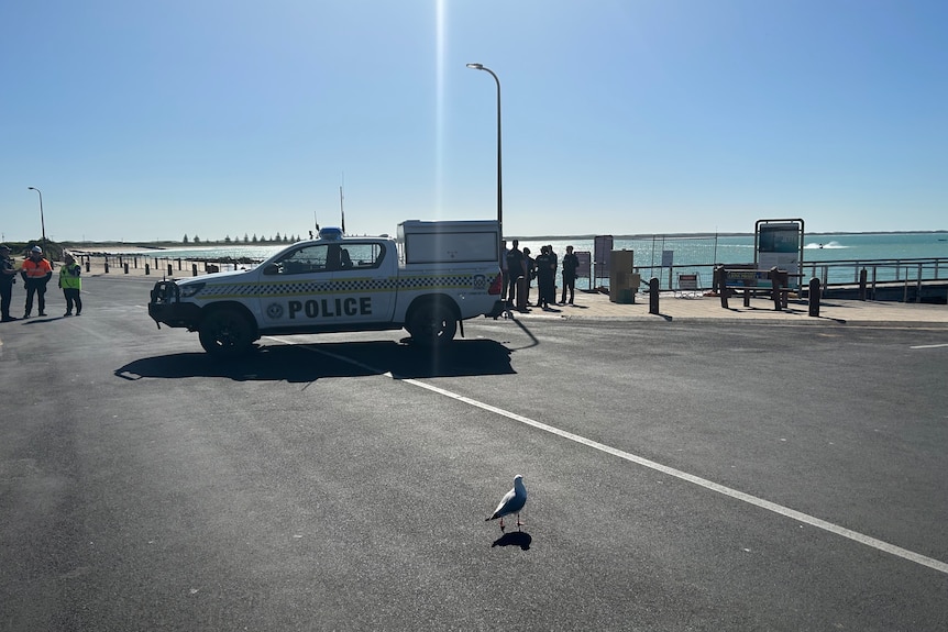 A police car near a beach and jetty.