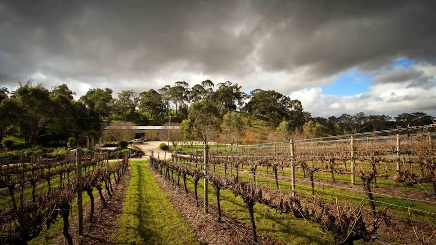 Storm nears Adelaide Hills