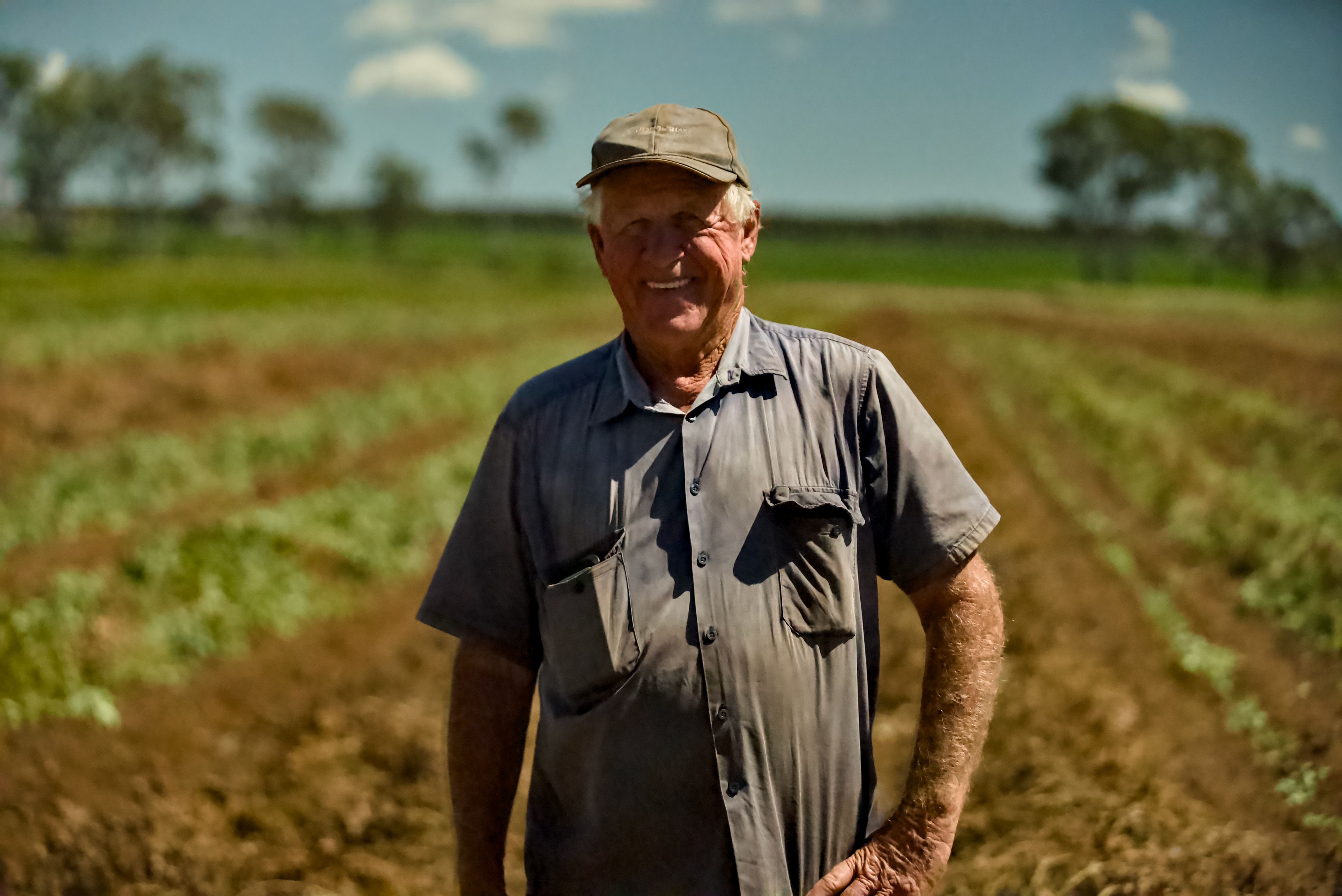 Un anciano se encuentra frente a un campo lleno de plantas de maní.