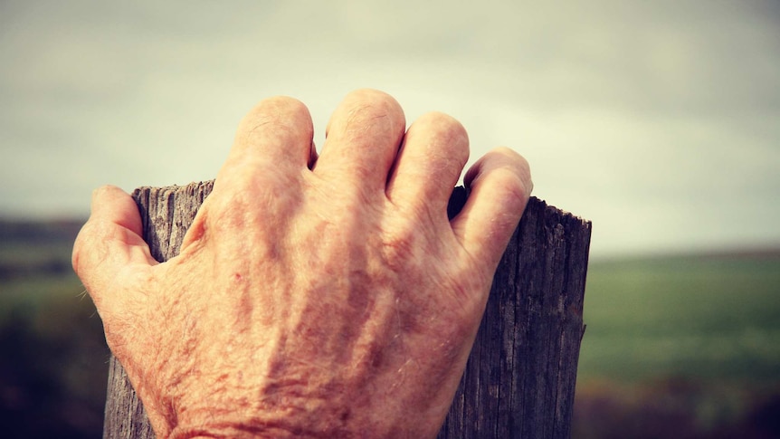 A farmer reflects on the future of his farm