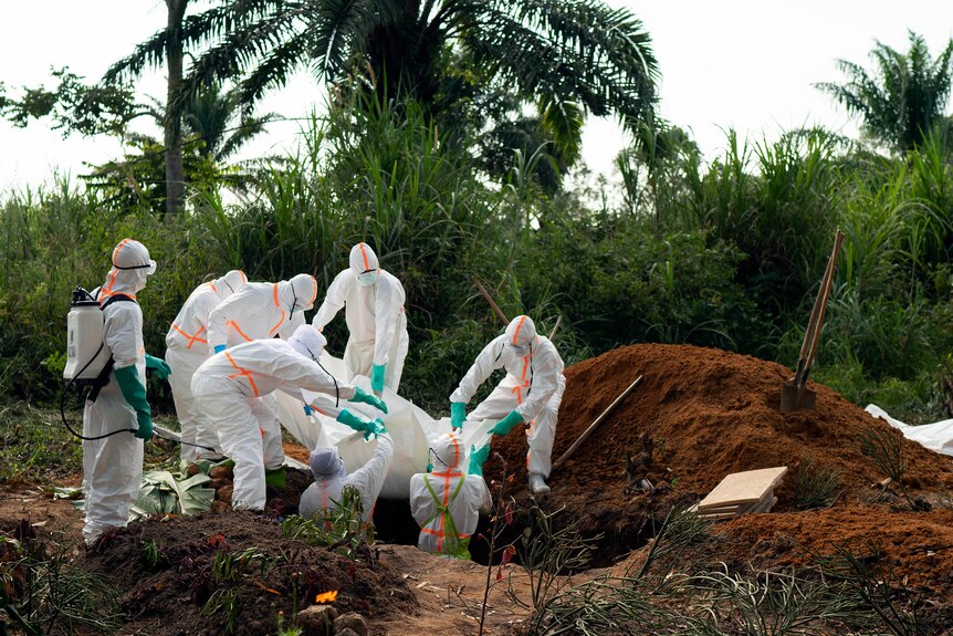 Seven people dressed in full white PPE carry a body wrapped in plastic into a hole dug in the ground at a cemetery. 