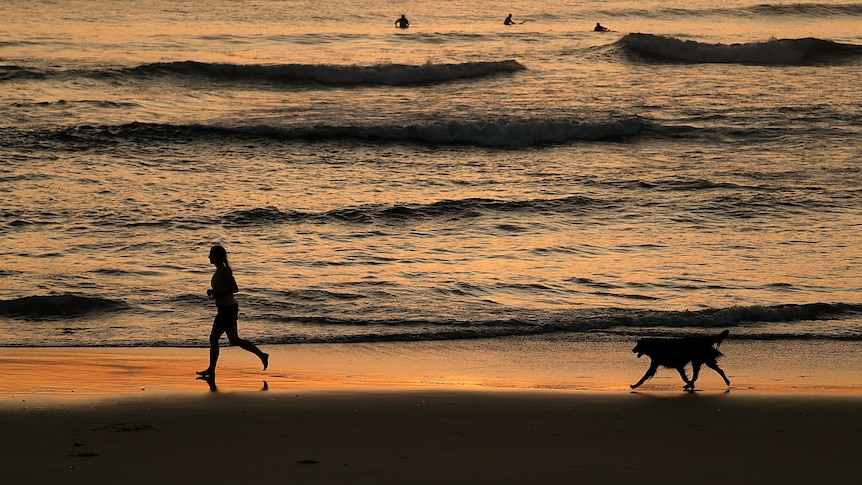 a woman running on the sand at a beach with a dog behind her