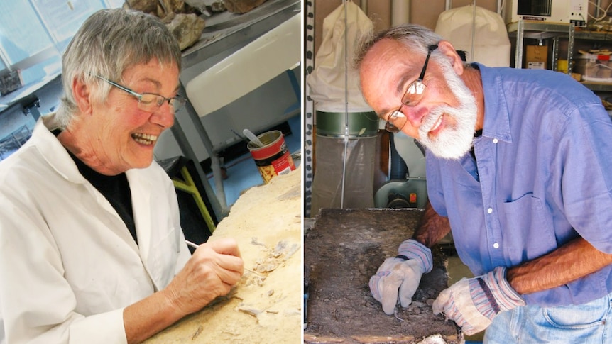 older man and woman dust at fossils on a table