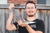 Mark Pelley holding the crocodile by the tail and head beside a fence.