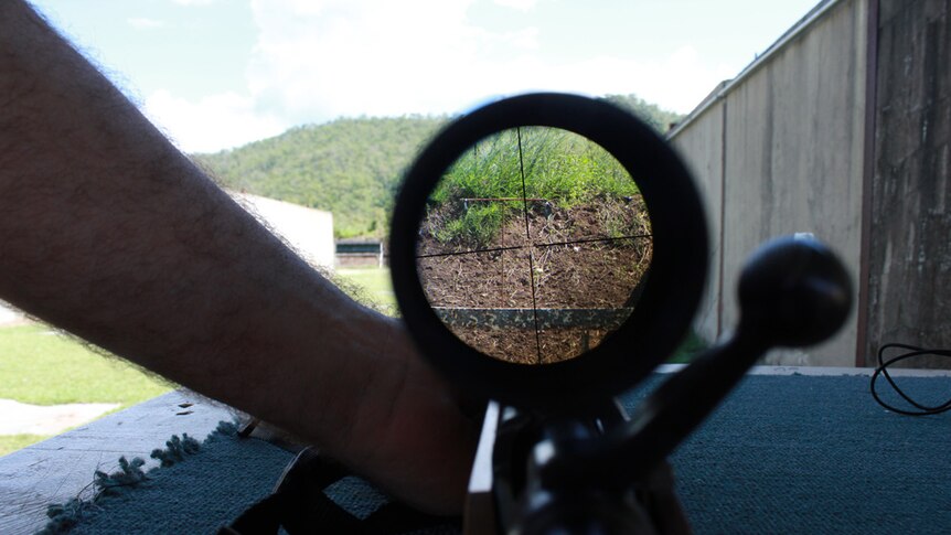 looking through the scope.