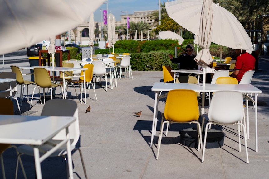 A woman feeds birds in a street cafe under white umbrellas