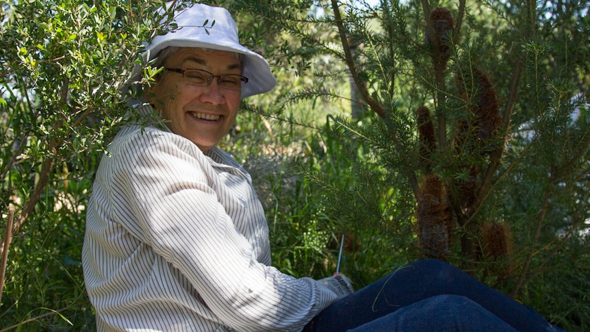 Kathy Tweedie, volunteer with the Randwick Bushcare program