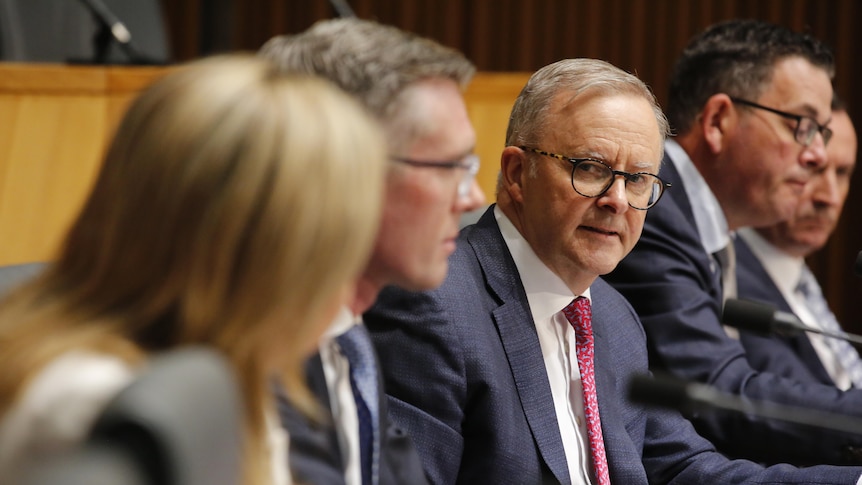 Anthony Albanese looks towards Annastacia Palaszczuk at a press confernece 