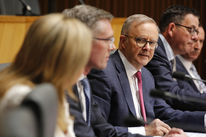 Anthony Albanese looks towards Annastacia Palaszczuk at a press confernece 