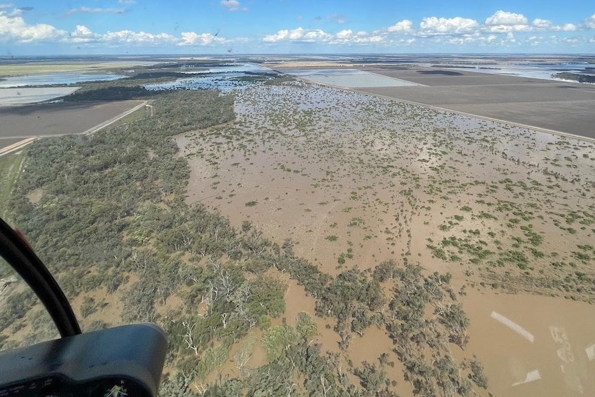 Flooded crops