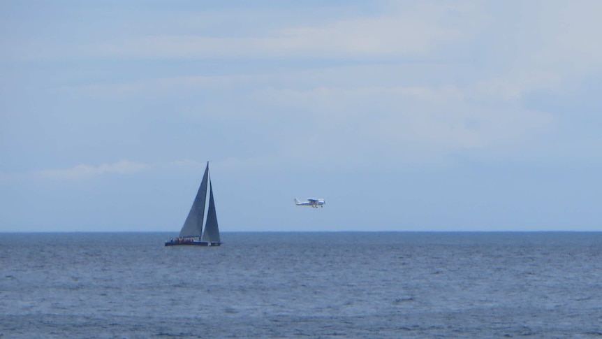 An image believed to be of the plane that crashed off the Tasman Peninsula