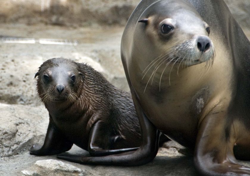 Self Improvement Wednesday: Human-Wildlife Conflict