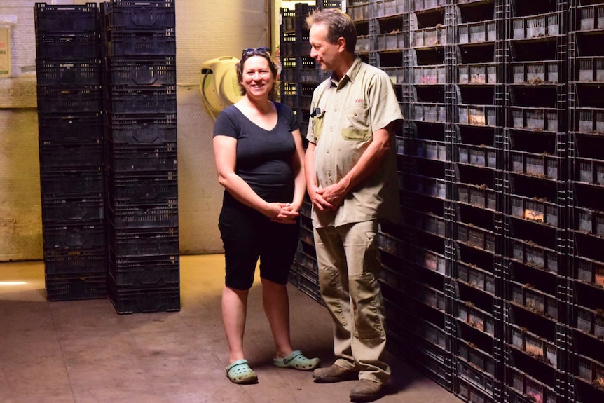 George and Kath Mingin stand surrounded by black crates filled with worms and compost.