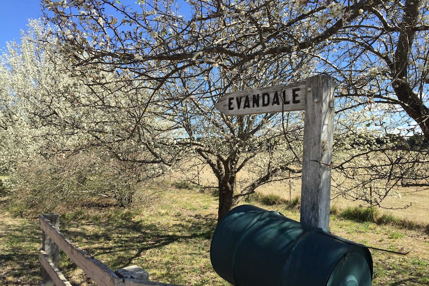 Evandale property