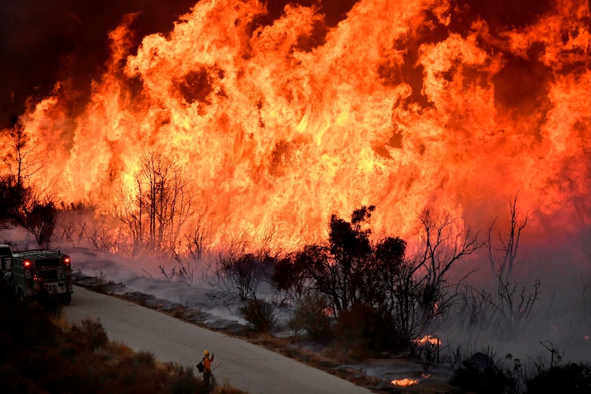 Flames spring metres into the air near a road as firefighters attempt to fight the blaze.