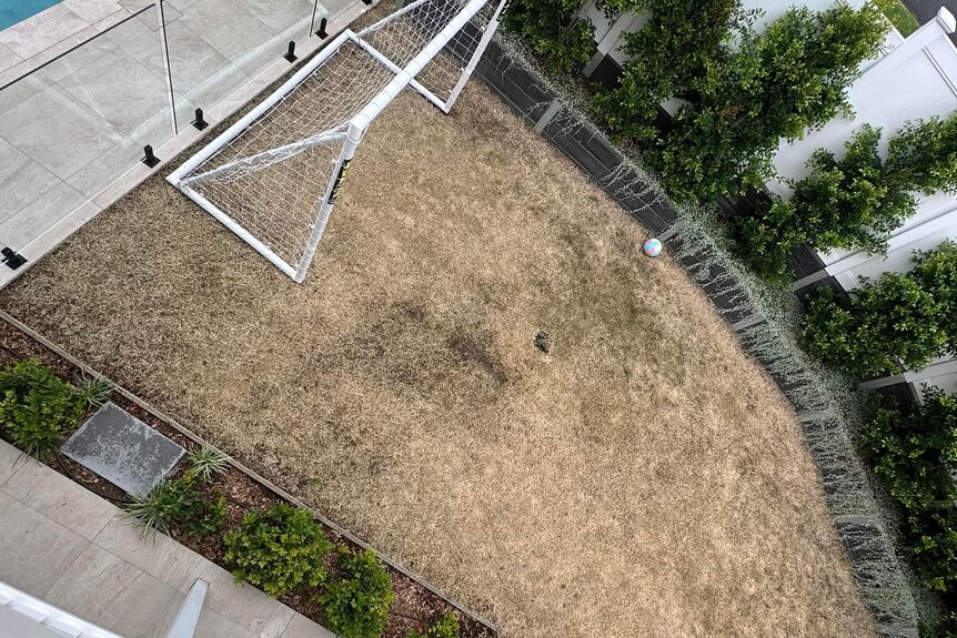 A top view of a backyard with brown, dead grass.