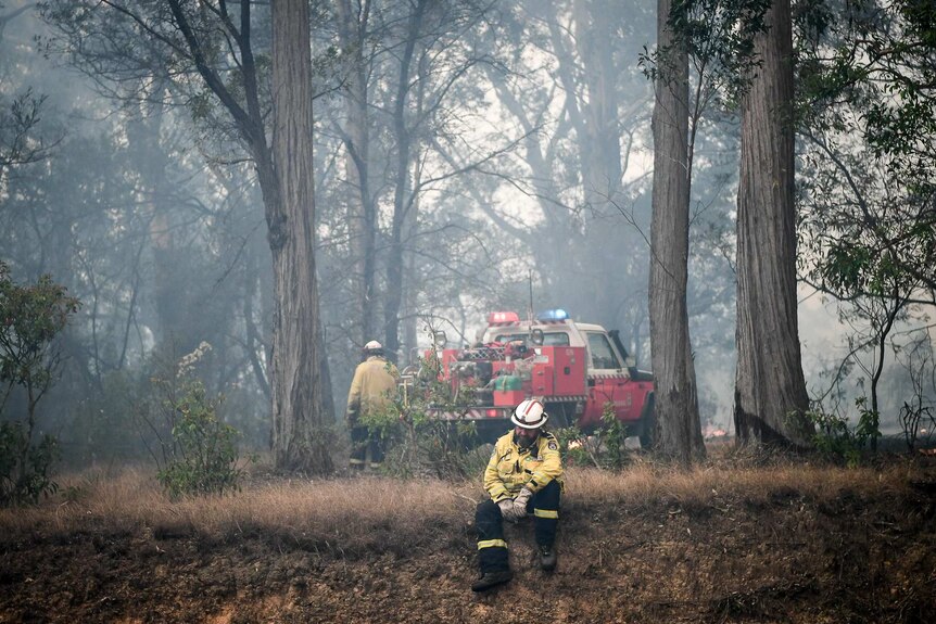 A firefighter looking tired in smoking bushland