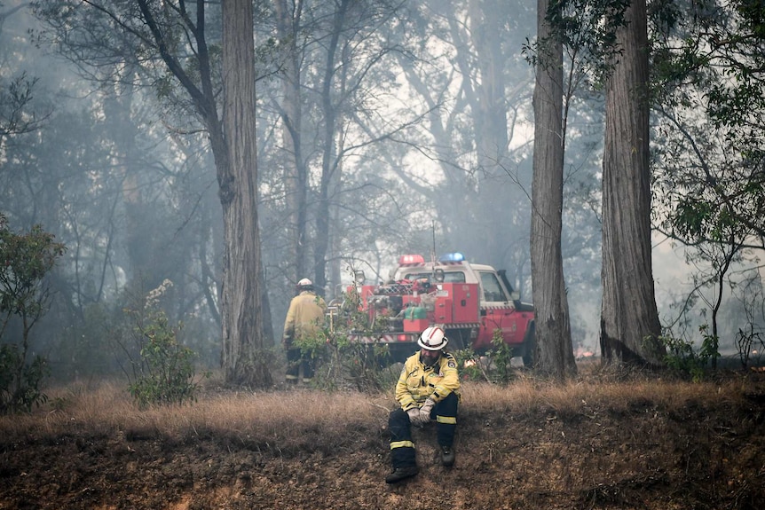 A firefighter looking tired in smoking bushland