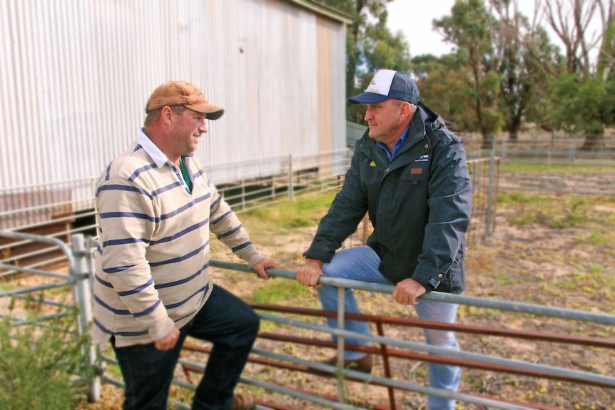 Farmer Ben Williams getting advice from livestock agent Craig Walker.