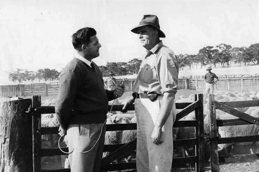 The Country Hour's Ted Patterson at work on a NSW sheep farm.