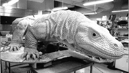 a black and white image of a lizard 