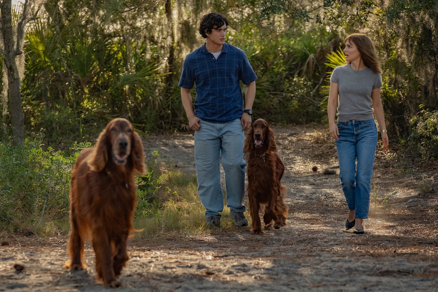 A film still of Charles Melton and Natalie Portman walking together outside, with two long-haired dogs.