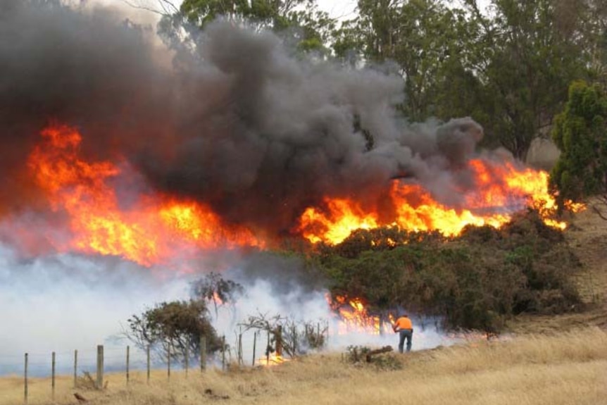 The Midland Highway was closed after serious fires at Powranna.