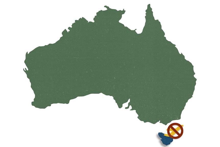 A graphic design of Australia, in green, with Tasmania highlighted in blue with a symbol of a plane with a red cross on it
