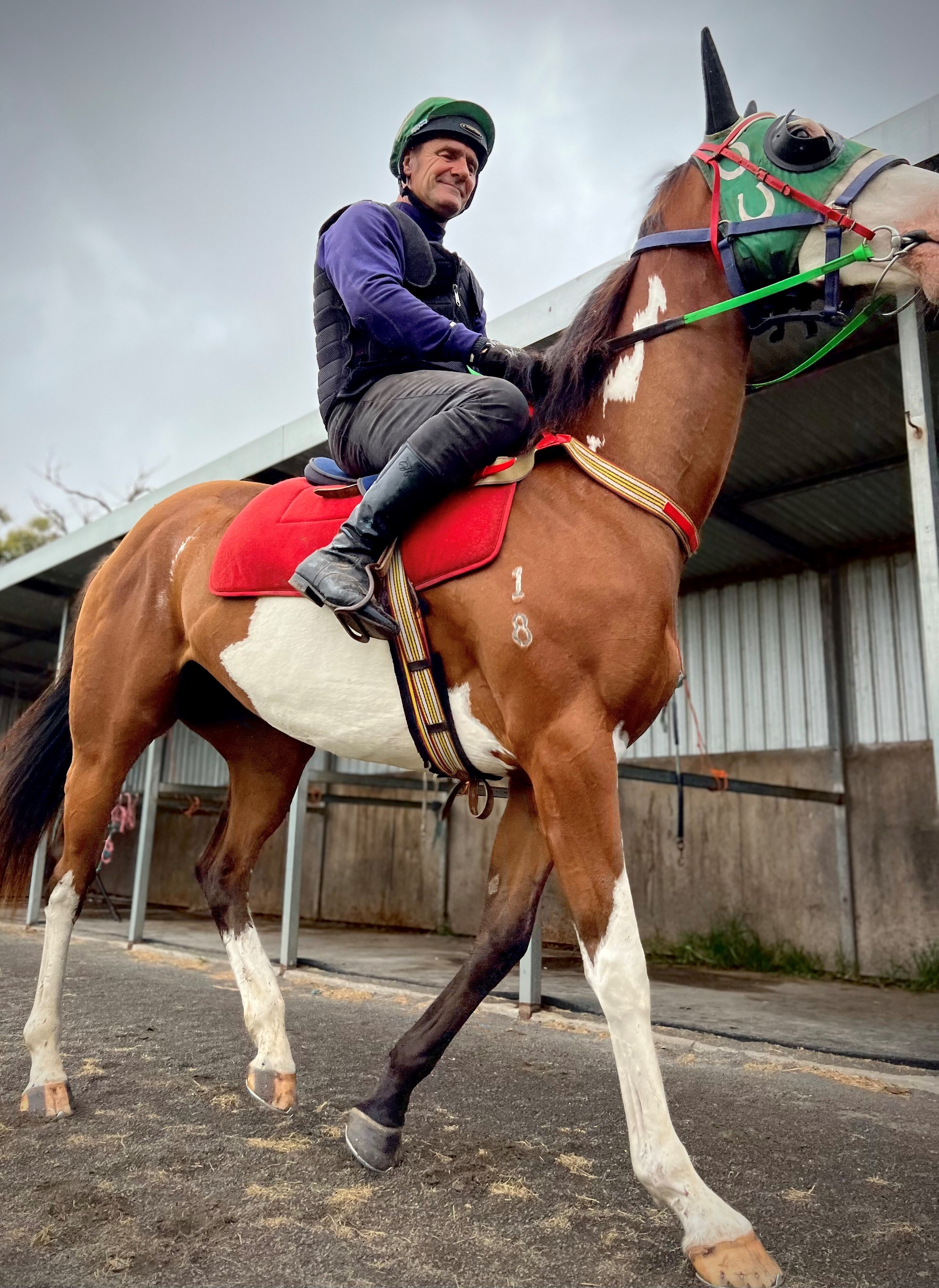 Racehorse Comanche Queen saves SA trackwork rider Danny Smith from life
