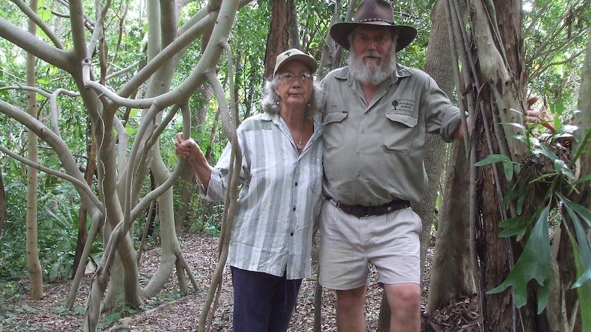 A husband and wife stand among the exposed roots in a plot of tall rainforest trees they planted