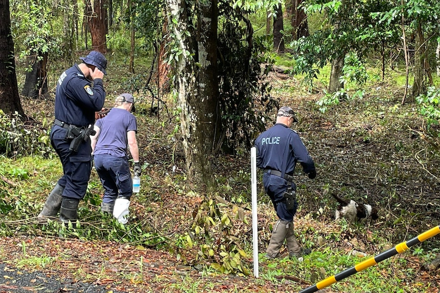 A dog with police officers searching bushland