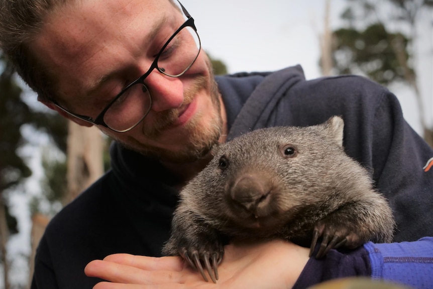 A man with glasses smiling as he looks at a wrapped baby wombat he is holding
