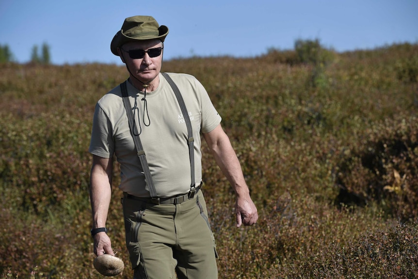 Vladimir Putin walks through a field with a mushroom in his hand.