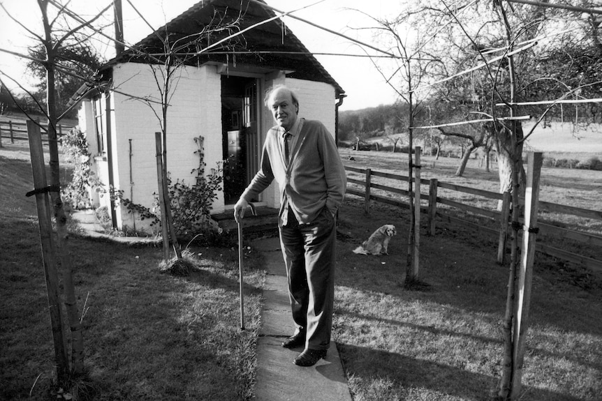 Black and white portrait of writer Roald Dahl holding his cane, standing in front of a shed.