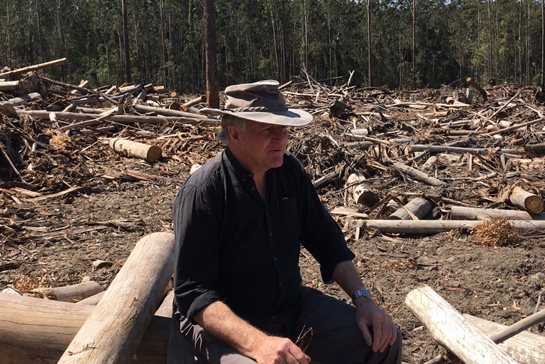 man sitting on stump in logged area of forest.