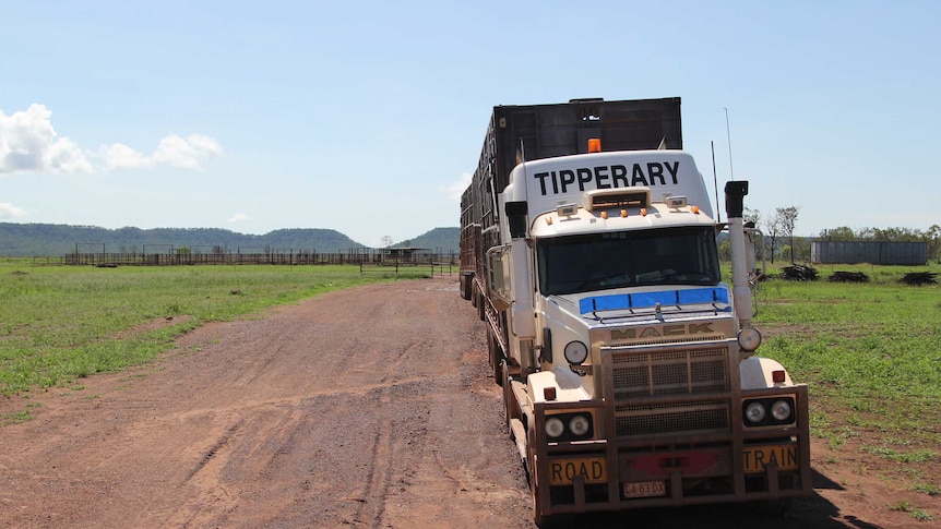 a road train with cattle yards in the distance.