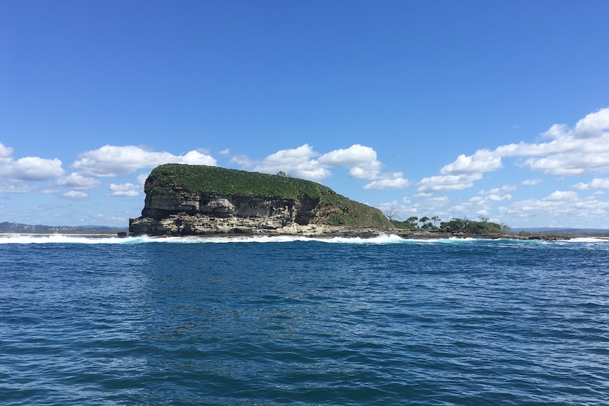 View of a small island from the water.