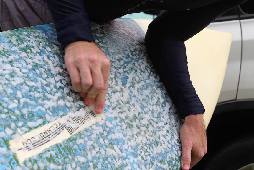 A close-up of surfer Sam Carmody as he waxes his surfboard.